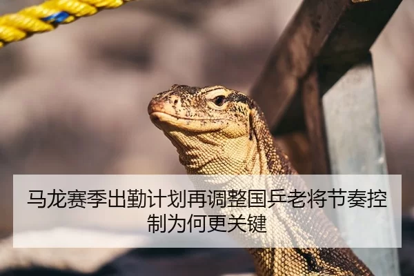 马龙赛季出勤计划再调整国乒老将节奏控制为何更关键