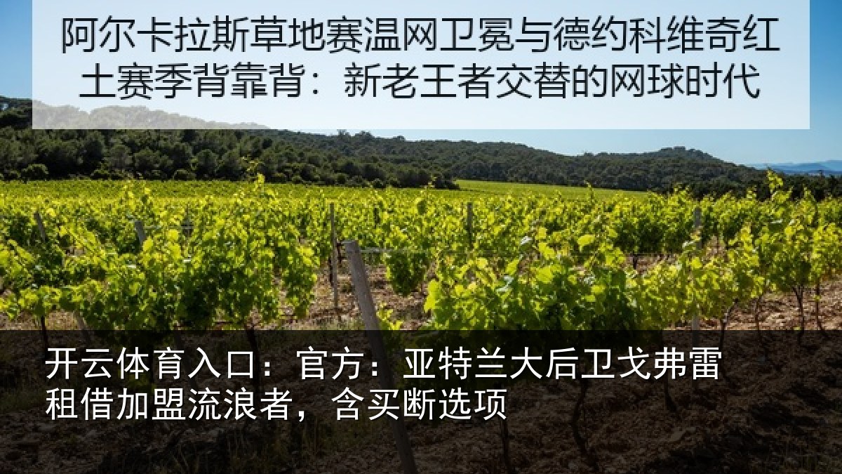 开云体育入口:官方:亚特相关情况借加相关情况项