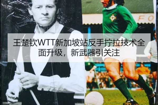 王楚钦WTT新加坡站反手拧拉技术全面升级，新武器引关注